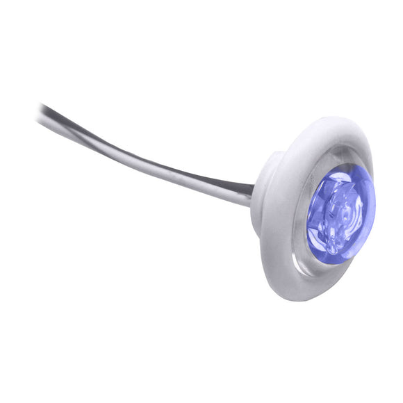 Innovative Lighting LED Bulkhead/Livewell Light 