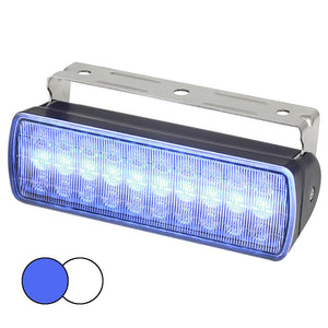 Hella Marine Sea Hawk XL Dual Color LED Floodlights - Blue-White LED - Black Housing [980950061] - Hella Marine